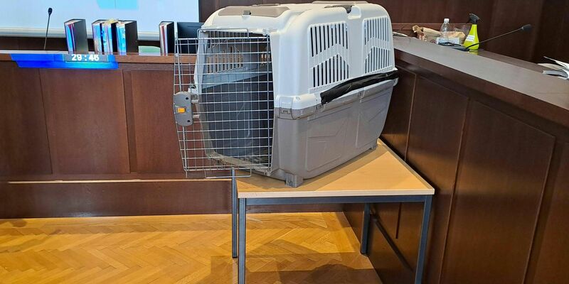 Die Mutter sperrte das Kind mehrfach für Stunden in eine Hundebox. - Foto: Christopher Eckl/APA/dpa