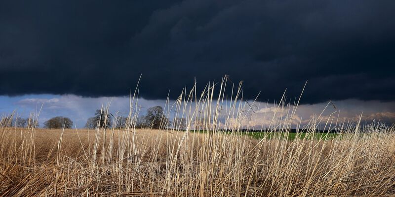 Gewitterwolken ziehen über ein Feld: Das Wetter am Abend ist durchwachsen. - Foto: Karl-Josef Hildenbrand/dpa