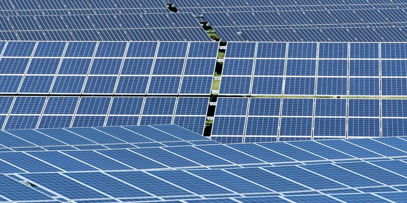 Die Solarenergie ist die am schnellsten wachsende erneuerbare Energiequelle in der EU. Allerdings kommt der Großteil der in Europa nachgefragten Solarmodule aus China. - Foto: Sven Hoppe/dpa