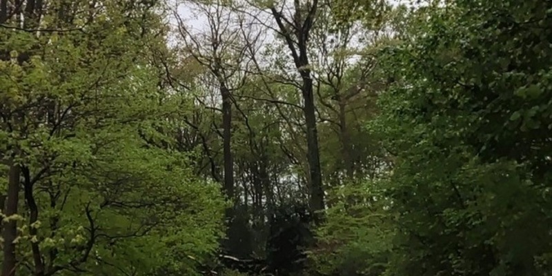 FW Dinslaken: Unwetter bschäftigt die Feuerwehr bis zum Abend - Foto: presseportal.de