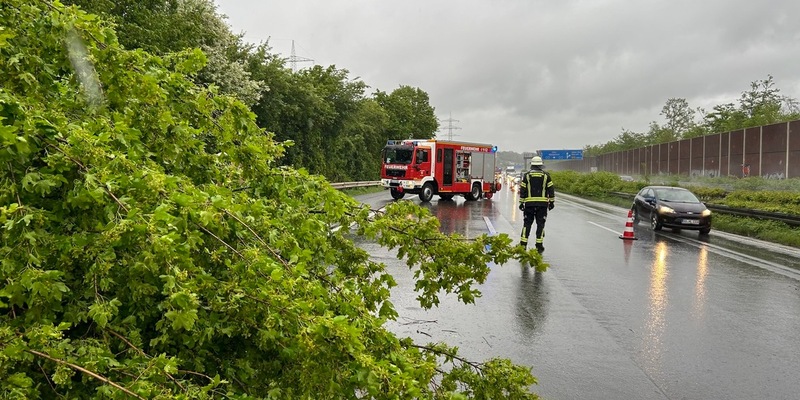 FW-Lohmar: Mehrere wetterbedingte Einsätze nach starken Windböen - Foto: presseportal.de