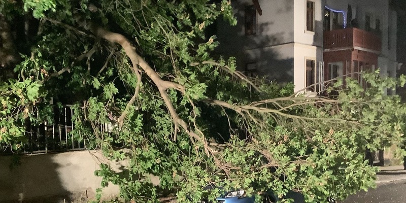 FW Dresden: Sturmereignis im Leitstellenbereich führt zu erhöhtem Anrufaufkommen am Notruf 112 - Foto: presseportal.de