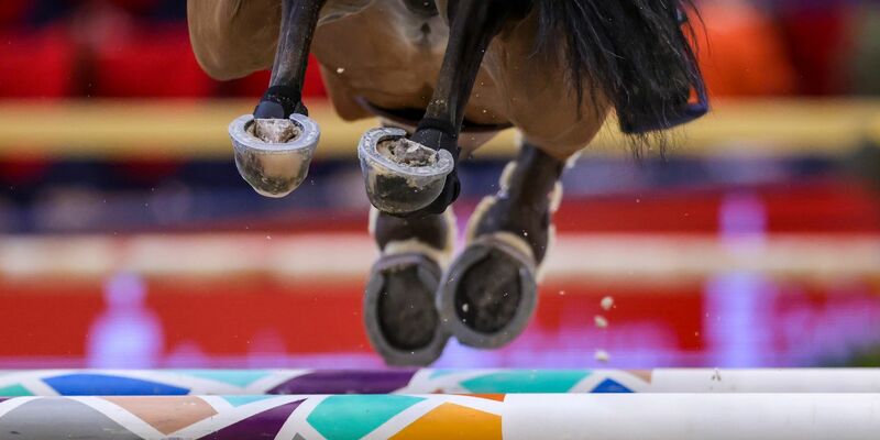 Das diesjährige Finale des Weltcups wird in Riad geritten. - Foto: Jan Woitas/dpa/Symbolbild