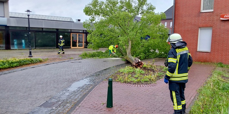FFW Schwalmtal: Umgestürzter Baum auf Fahrbahn - Foto: presseportal.de