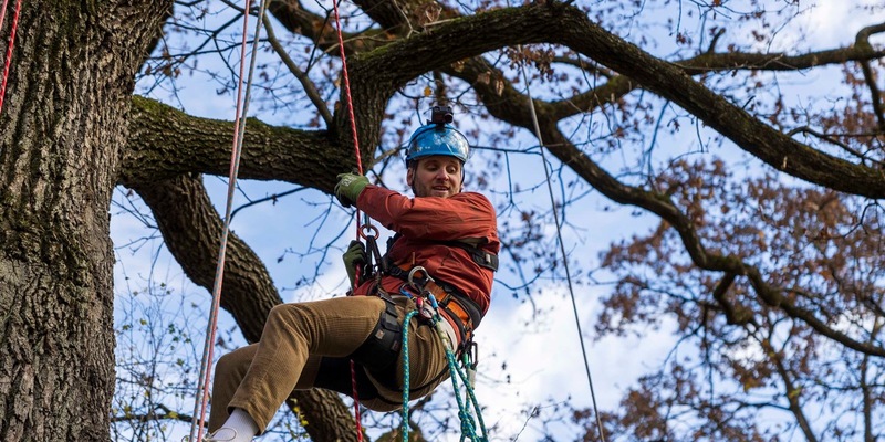 Wie viel Mut brauchst du? Drei neue Folgen Terra Xplore in der ZDFmediathek und im ZDF - Foto: presseportal.de