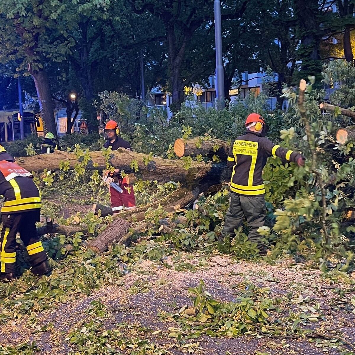 Ein Unwetter ist über Deutschland hinweggefegt; es gibt Verletzte und Schäden. - Foto: Mike Seeboth/dpa