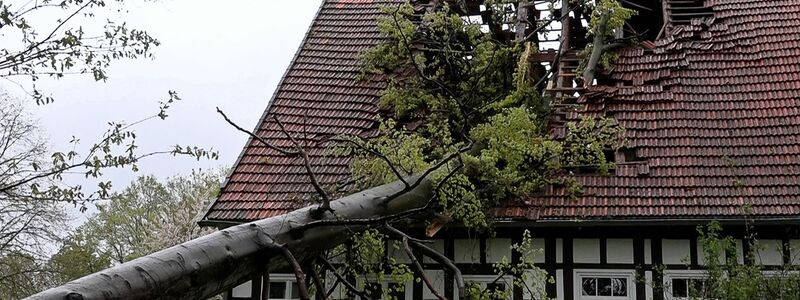 Ein Baum hat im Kreis Steinfurt (Nordrhein-Westfalen) infolge des Sturms das Dach eines Fachwerkhauses schwer beschädigt. - Foto: Michel Fritzemeier/tv7news/dpa