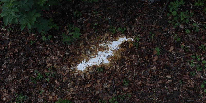 POL-MS: Verdacht auf Giftköder-Fund im Stadtteil Aaseestadt - Polizei warnt Hundebesitzer und bittet um Hinweise - Foto: presseportal.de