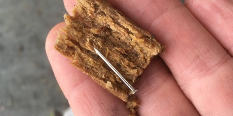 POL-DA: Darmstadt: Hundebesitzer findet gefährlichen Köder am Waldrand - Foto: presseportal.de