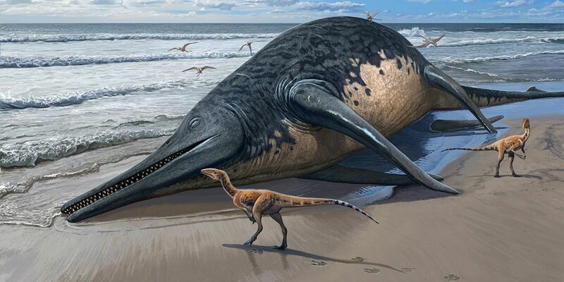 Die künstlerische Darstellung zeigt einen angeschwemmten Ichthyotitan severnensis-Kadaver am Strand. - Foto: Sergey Krasovskiy/dpa