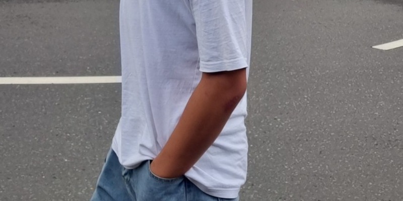 POL-SLS: Öffentlichkeitsfahndung nach vermisstem 13-jährigen Jungen aus Nalbach - Foto: presseportal.de