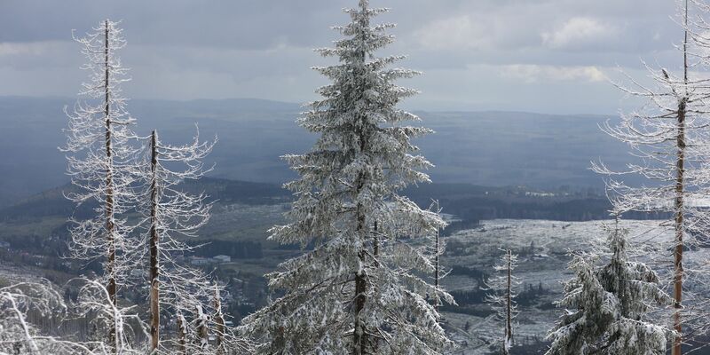 Im Mittelgebirge ist mit viel Neuschnee zu rechnen. - Foto: Matthias Bein/dpa