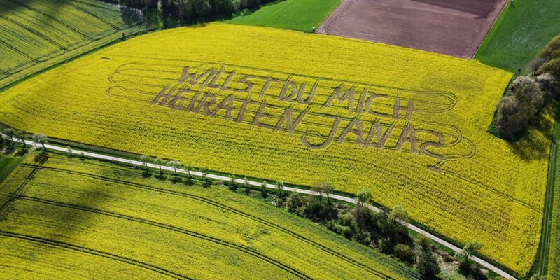 «Willst Du mich heiraten, Jana?», steht in einem Rettichfeld bei Rauschenberg im Landkreis Marburg-Biedenkopf. - Foto: Nadine Weigel/dpa