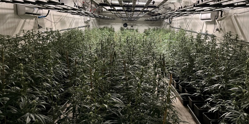 POL-K: 240423-3-K/REK/RBK/SU/NR Durchsuchungsbeschlüsse bei mutmaßlichen Drogenhändlern vollstreckt - Festnahme - Foto: presseportal.de