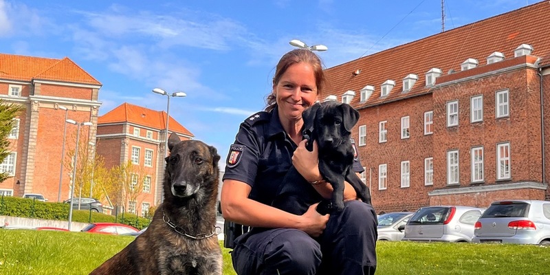 POL-KI: 240424.1 Kiel: Brandmittelspürhündin Naira hat ihre Ausbildung bei der Polizei begonnen - Foto: presseportal.de