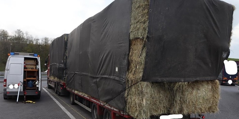 POL-PPTR: Verstöße gegen Maße, zu schwere Holztransporte und Verstöße bei Abfalltransporten - Foto: presseportal.de