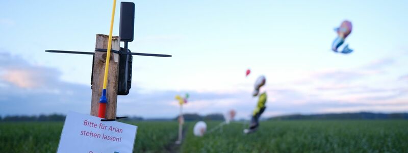 Ballons, Süßigkeiten und eine Wildkamera stehen auf einem Feld bei Bremervörde. Von dem vermissten sechs Jahre alten Jungen aus dem niedersächsischen Bremervörde fehlt noch immer jede Spur. - Foto: Markus Hibbeler/dpa