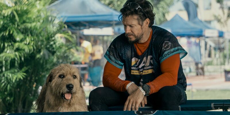 Michael (Mark Wahlberg) und Arthur - ein gutes Team. - Foto: Carlos Rodriguez/Lionsgate/dpa