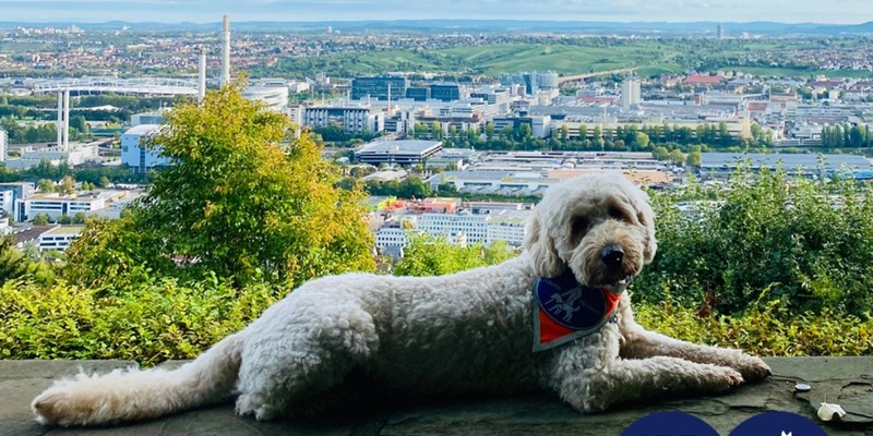 Barrierefreiheit großgeschrieben: Der SWR beim Louis Braille Festival in Stuttgart (3. bis 5. Mai 2024) - Foto: presseportal.de