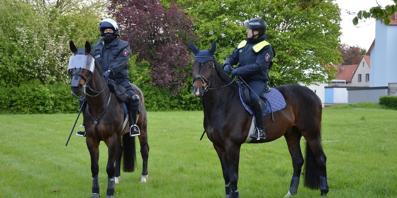 POL-SZ: Pressemitteilung der Polizeiinspektion SZ/PE/WF vom 26.04.2024. BILDER IM ANHANG - Foto: presseportal.de