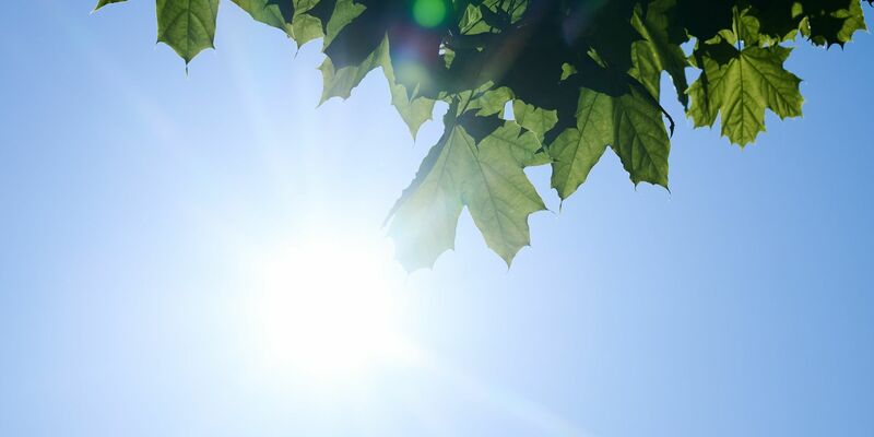 Es wird sonnig und mild - jedenfalls im Osten und Süden Deutschlands. - Foto: Annette Riedl/dpa
