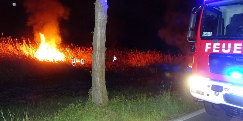 FW Reichenau: Feuerwehr hat Schilfbrand schnell gelöscht, Reichenau L221, 28.04.2024 - Foto: presseportal.de