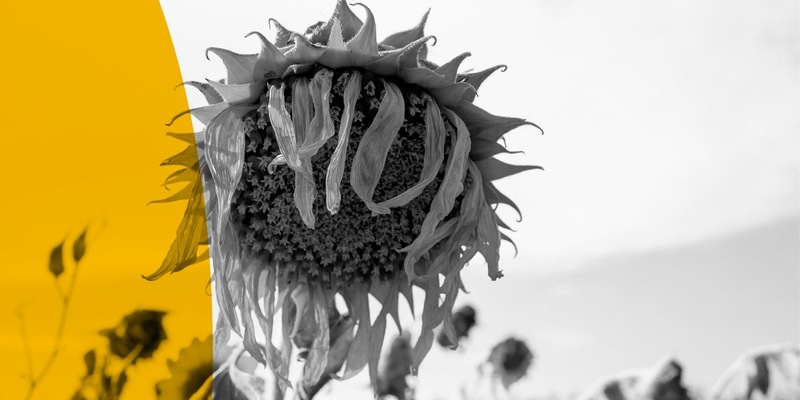 ARD radiofeature / Dürre in Europa – Doku über nachhaltige Landwirtschaft in der Klimakrise - Foto: presseportal.de