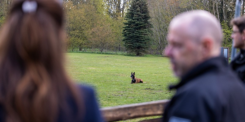 POL-NMS: 240430-1-pdnms Einsatz auf vier Pfoten: Hoher Besuch bei den Diensthunden - Foto: presseportal.de