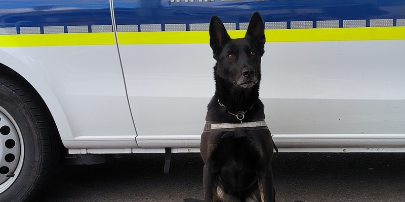 HZA-S: Mit Rauschmitteln im Fernbus - Foto: presseportal.de