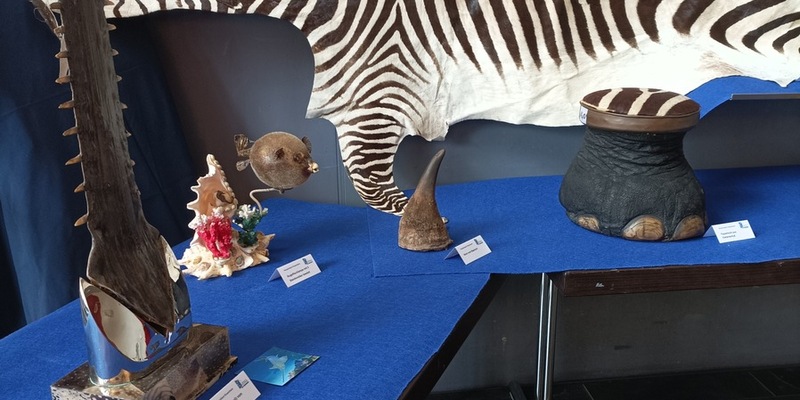 HZA-RO: Hauptzollamt Rosenheim weckt Interesse für den ZOLL / Zöllnerinnen und Zöllner öffneten die Türen und gaben Einblick in die verschiedensten Facetten ihres Berufs - Foto: presseportal.de