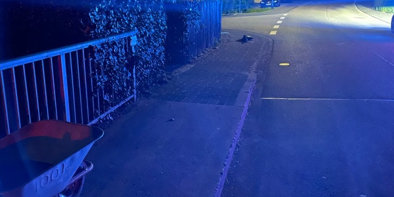 POL-PDTR: Hexenstreich? - Gefährlicher Eingriff in den Straßenverkehr - Foto: presseportal.de