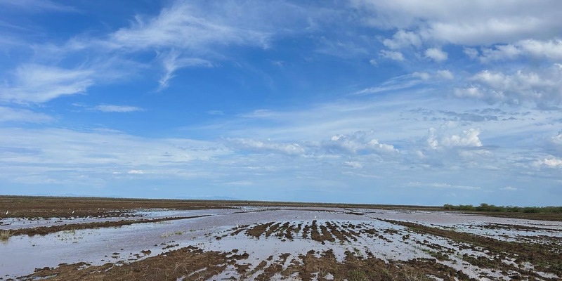 Kenia: Nothilfe für Menschen in Überschwemmungsgebieten gestartet / Die Johanniter stellen 50.000 Euro für Soforthilfe zur Verfügung - Foto: presseportal.de