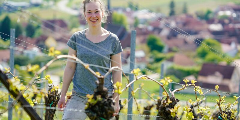 Immer mehr Frauen in Deutschland entscheiden sich Winzerin zu werden, so auch Hanna Nunkesser. - Foto: Uwe Anspach/dpa