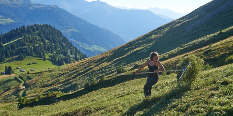 Bergbauernfamilien brauchen dringend Unterstützung / Caritas sucht 1000 Freiwillige für Bergeinsatz - Foto: presseportal.de