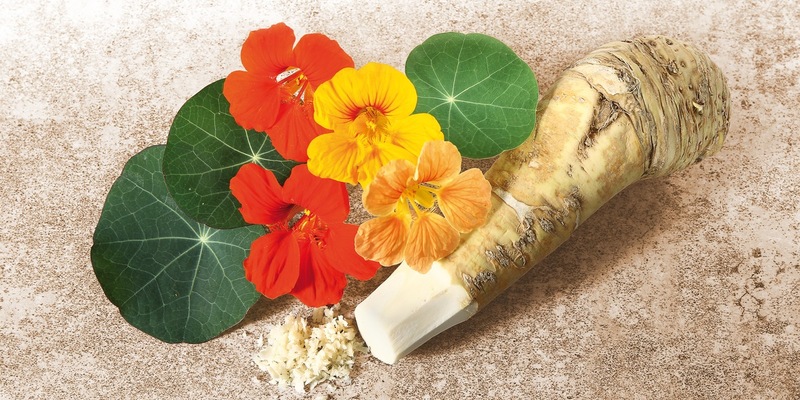 Antibiotikaresistenzen: Gefährliches bakterielles Resistenzgen entdeckt / Lohnt hier ein Blick in die Natur? - Foto: presseportal.de