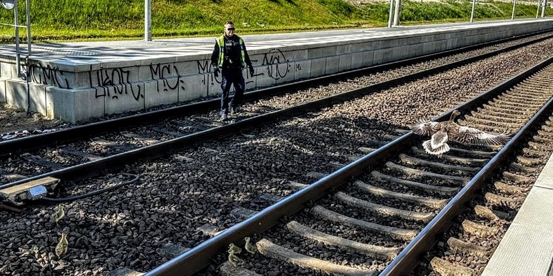 BPOL-KI: Gänsemarsch legt am 1. Mai Bahnverkehr lahm - Foto: presseportal.de