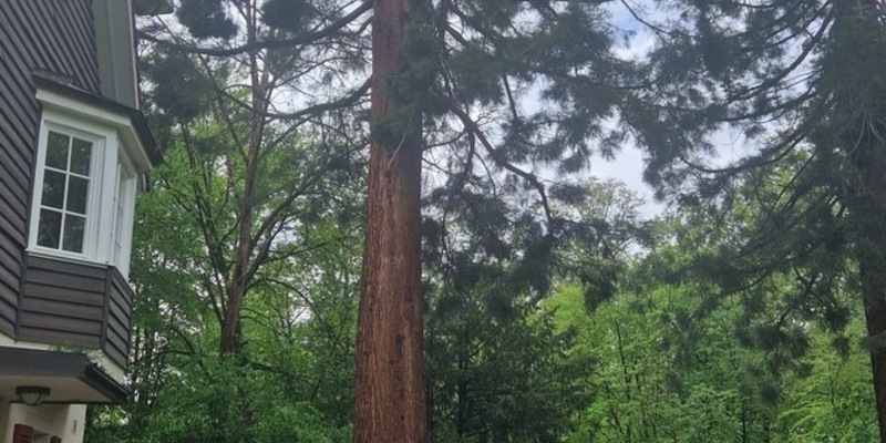 FW Stuttgart: Blitzeinschläge führen zu mehreren Feuerwehreinsätzen - Foto: presseportal.de