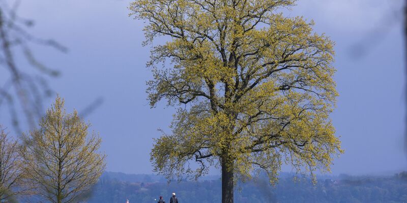 Das Wetter in Deutschland bleibt in den nächsten Tagen wechselhaft. - Foto: Jens Büttner/dpa
