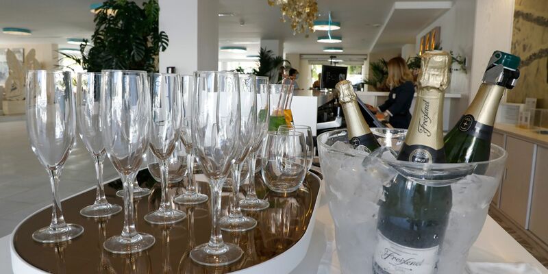 In Katalonien verdorren Weinreben - es ist zu trocken. Freixenet zieht nun Konsequenzen. - Foto: Clara Margais/dpa