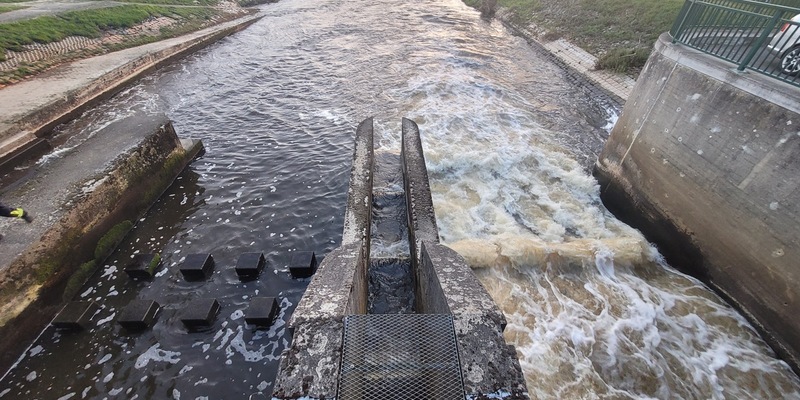 FW Flotwedel: Ortsfeuerwehr Offensen führt gemeinsamen Ausbildungsdienst mit dem NLWKN durch - Foto: presseportal.de