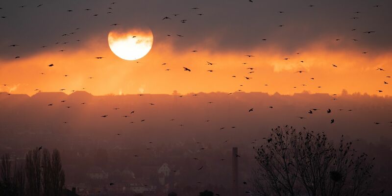 Von Resignation sei aber im «Klima-Kollaps-Café» keine Spur, behauptet Gründer Norbert Prinz. Es löse in der Gruppe kein Fatalismus aus, zu wissen, dass es nichts mehr zu retten gebe. - Foto: Sebastian Kahnert/dpa-Zentralbild/dpa
