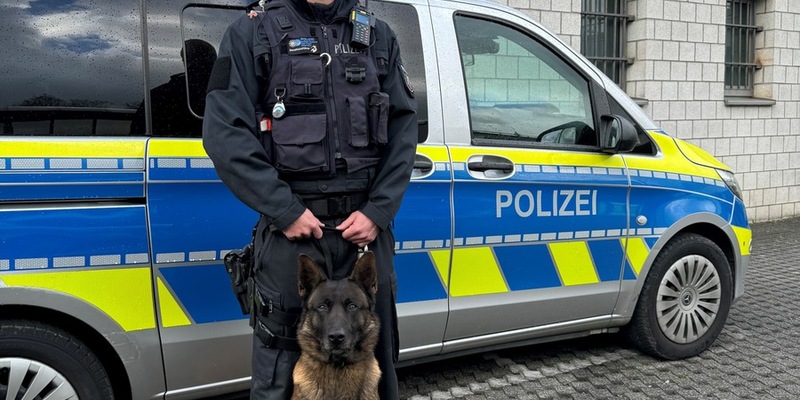 POL-SI: Nach bestandener Prüfung: Diensthund Luc ist offiziell Personenspürhund - #polsiwi - Foto: presseportal.de