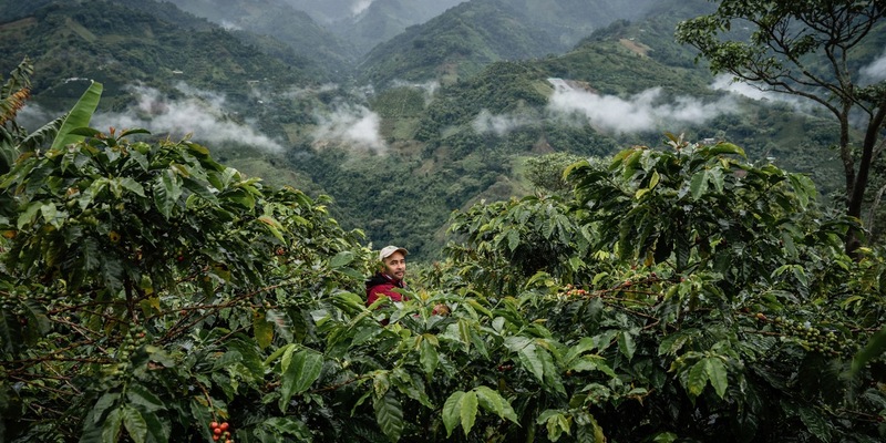 2,6 Mrd. Euro Umsatz mit Fairtrade-Produkten / Fairtrade Deutschland veröffentlicht Jahresbericht 2023/2024 - Foto: presseportal.de
