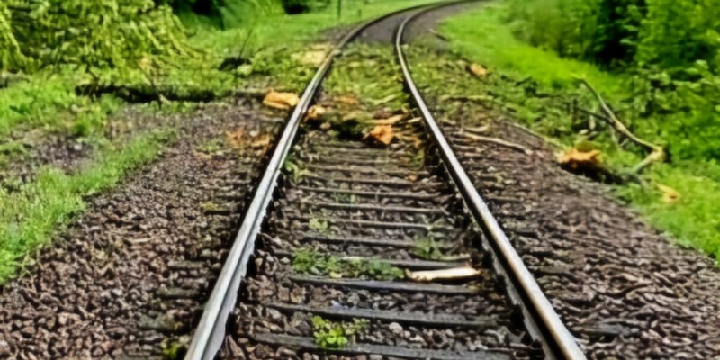 BPOL-KL: Zug kollidiert mit Baumstamm - Foto: presseportal.de