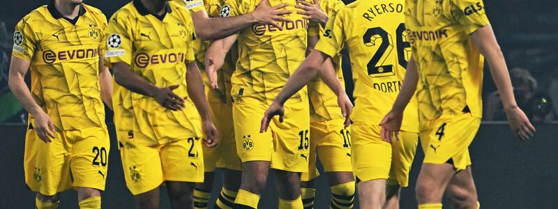 Der BVB hat den Einzug ins Champions-League-Finale geschafft. - Foto: Robert Michael/dpa