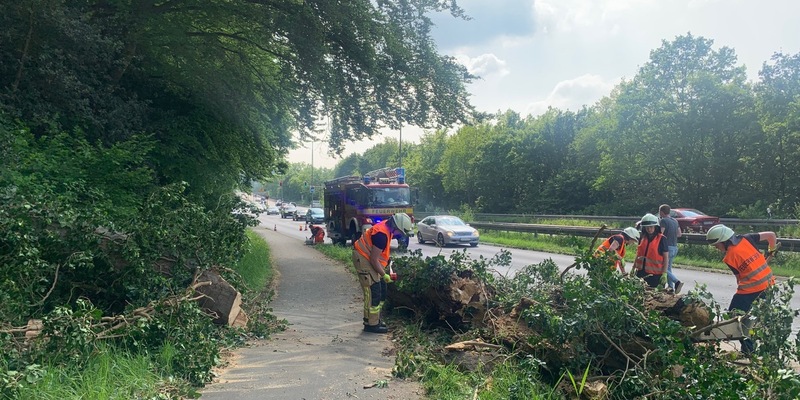 FW-EN: Umstürzender Baum verfehlt fahrenden PKW nur knapp & Rauchentwicklung im Linienbus - Foto: presseportal.de