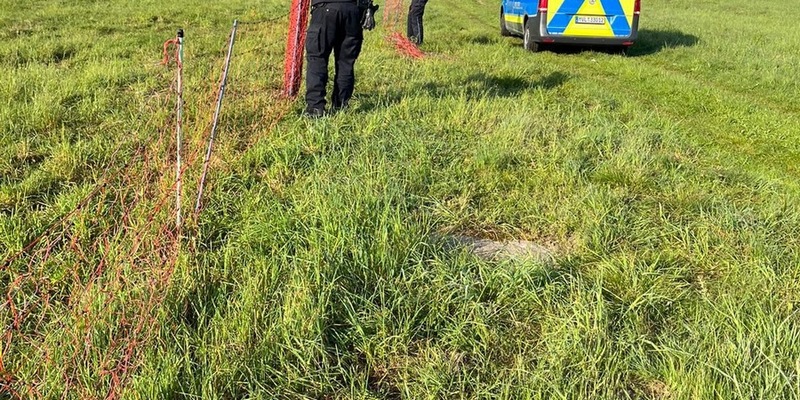 POL-NB: Schaf eingefangen, Zaun repariert - Foto: presseportal.de