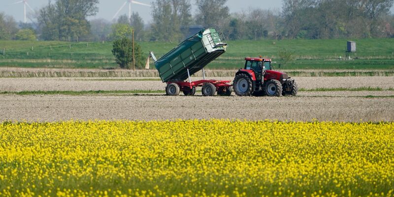 Die Umweltauflagen für Landwirte sollen auf EU-Ebene gelockert werden - das ist nicht unumstritten. - Foto: Marcus Brandt/dpa