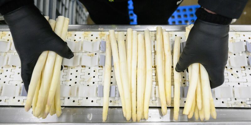 Die Prognose zur Spargelernte könnte Spargelliebhabern Sorgen machen. - Foto: Julian Stratenschulte/dpa