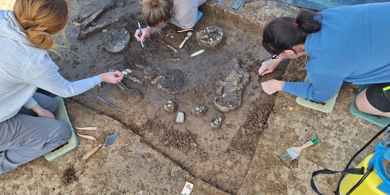 Das Grab im Ortsteil Exing, nach dem das Skelett als «Exinger» bezeichnet wird, wurde bei einer Untersuchung vor Bauarbeiten entdeckt. - Foto: F.Eibl/Landratsamt Dingolfing-Landau/dpa